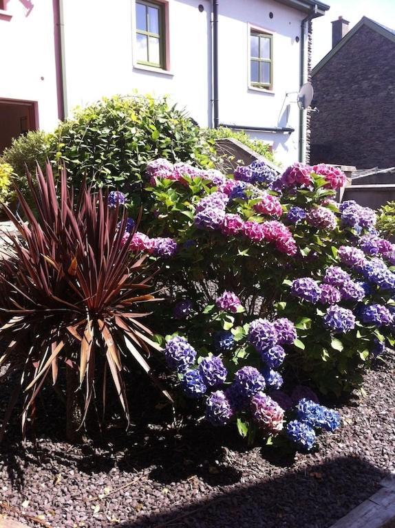 Burnham View Villa Dingle Kültér fotó